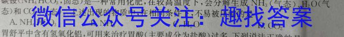 q安徽省2023-2024学年度九年级上学期阶段性练习（二）化学