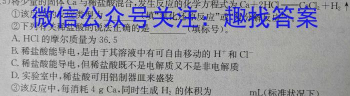 q陕西省2024届九年级期中教学素养测评（二）化学