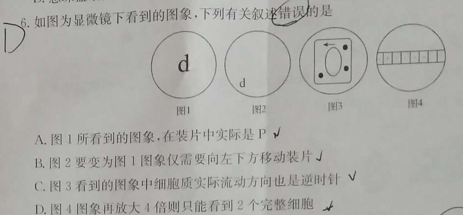 河南省七年级2023-2024学年度综合素养评估（二）【R-PGZX C HEN】生物