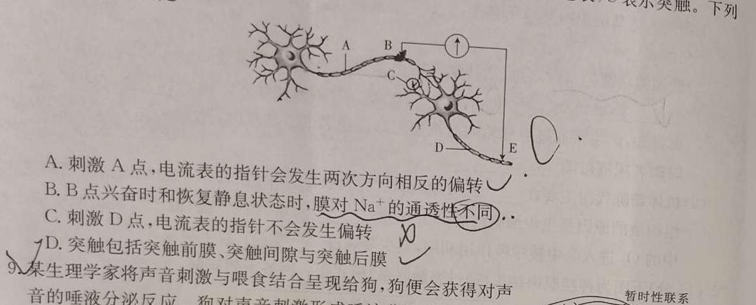 新疆兵团地州学校2023~2024学年高一第一学期期中联考(24-46A)生物