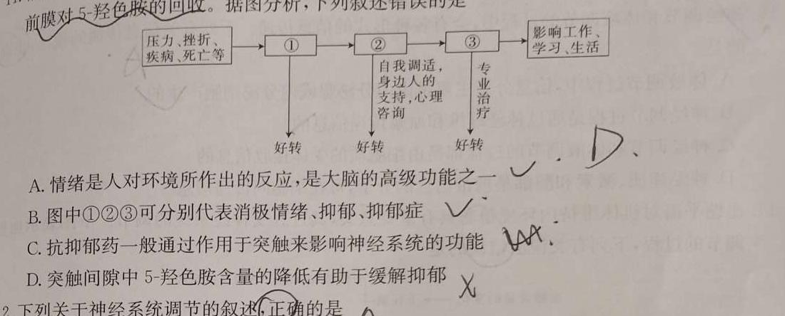 九师联盟2024届高三10月质量检测巩固卷(新教材-L)G生物