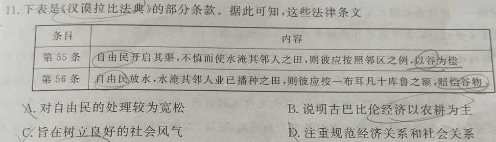 河南省新高中创新联盟TOP二十名校高一年级11 月调研考试(241100D)历史