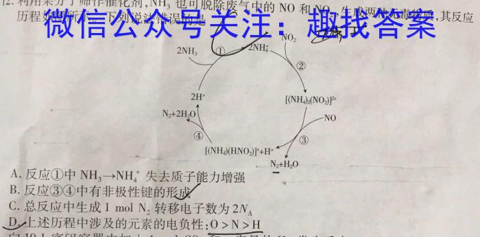 q浙江强基联盟2023学年第一学期高二12月联考(24-183B)化学