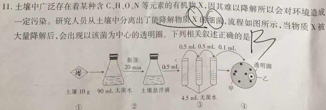 甘肃省2023-2024学年高二第一学期联片办学期中考试(11月)生物