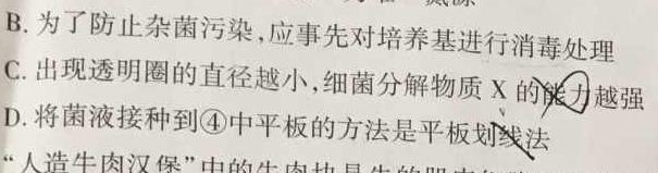 河北省唐山市十县一中联盟2023-2024学年高一上学期11月期中考试生物