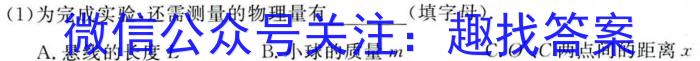 2023年湖北省孝感市高一11月期中考试l物理