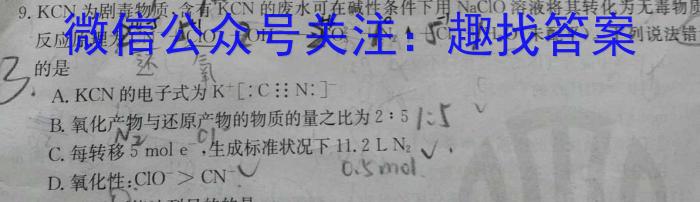 q安徽省2024届第一学期九年级12月阶段练习化学