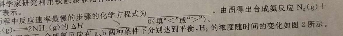 1［独家授权］安徽省2023-2024学年七年级上学期教学质量调研三化学试卷答案