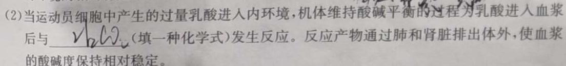 河北省2023~2024学年高三(上)期中考试(24-165C)生物