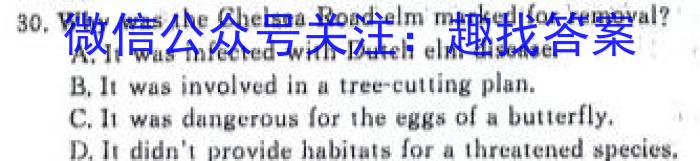 安徽省2023-2024学年上学期英语