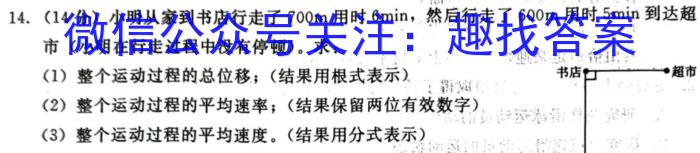 河南省2023-2024学年度九年级上学期期中综合评估【2LR】q物理