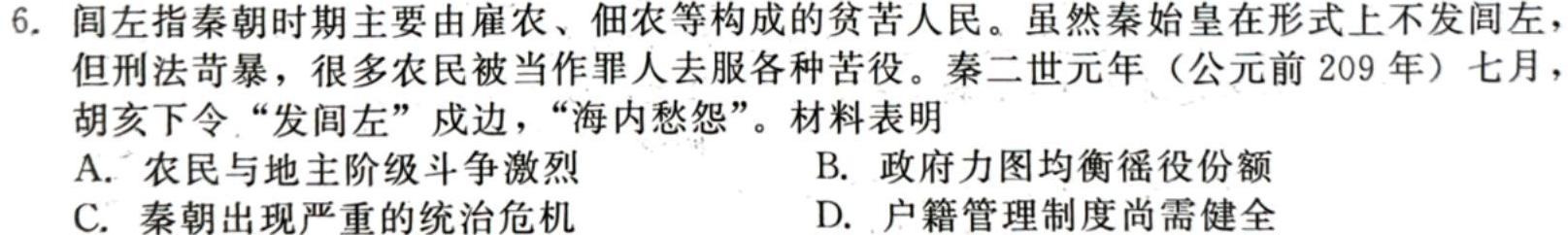 安徽省六安皋城中学2024届初三阶段性目标检测（四）历史