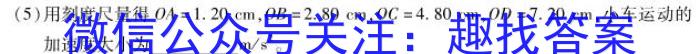 智慧上进·2024届高三总复习双向达标月考调研卷（二）f物理