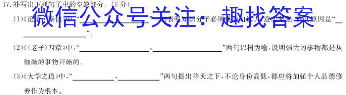 2023年11月高二A佳教育 湖湘教育三新探索协作体 期中联考/语文