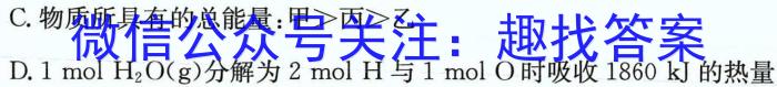 q内蒙古2024届高三（10）一轮复习大联考化学