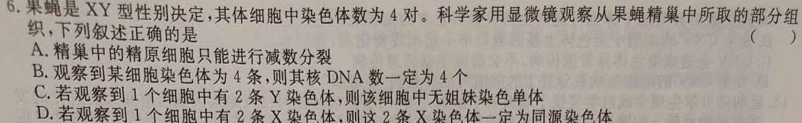 红河州一中2023年秋季学期高二十月月考生物