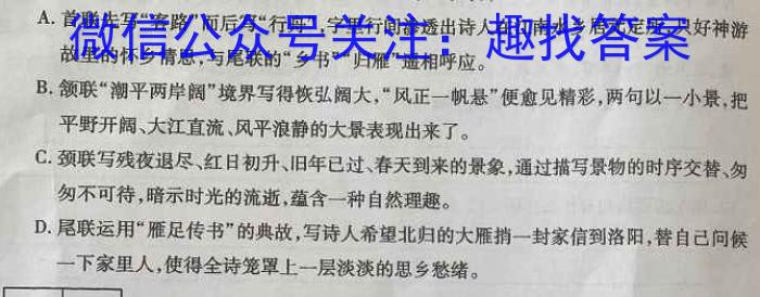 山西省2023-2024学年第一学期九年级期中双减教学成果展示/语文