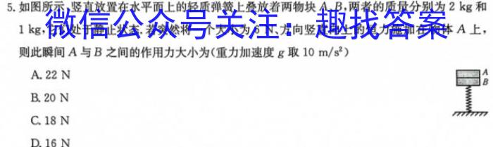 青桐鸣 河南省2024届普通高等学校招生全国统一考试 青桐鸣高三联考(10月)物理`