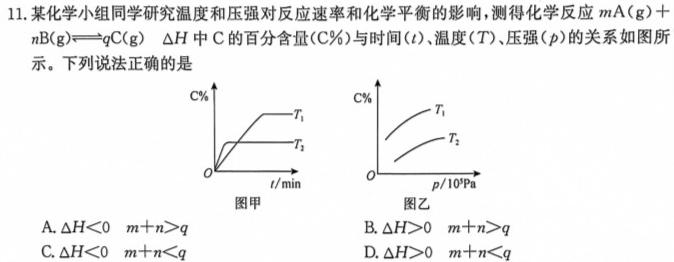 12024届高考模拟卷(三)3化学试卷答案