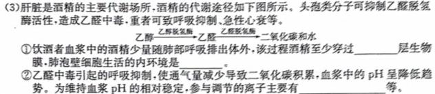 河北省2023-2024学年示范性高中高二年级期中质量检测联合测评生物