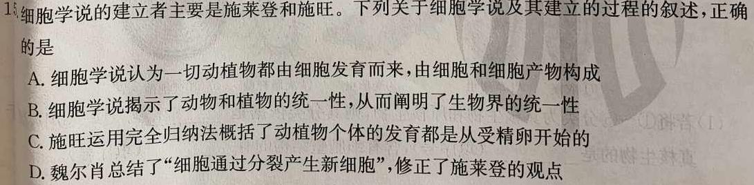 2024届高三百万联考11月联考生物