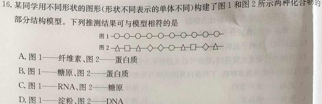 2024年衡水金卷先享题高三一轮复习夯基卷(重庆专版)一生物