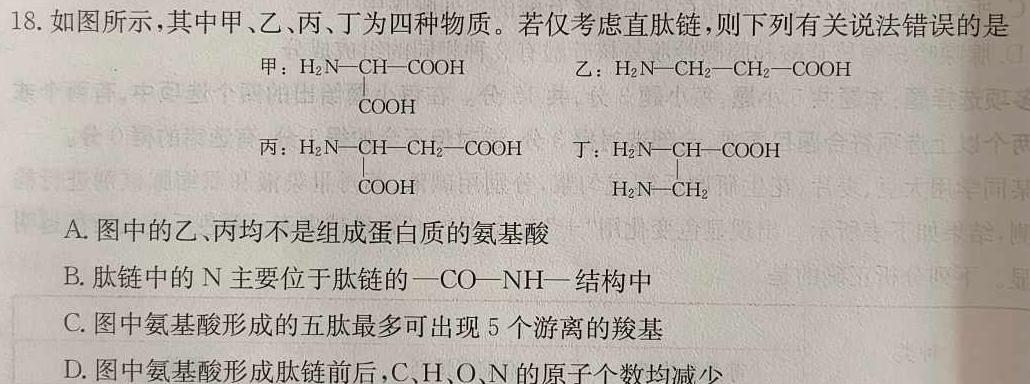 江西省吉安市十校联盟2023-2024学年第一学期九年级期中联考生物