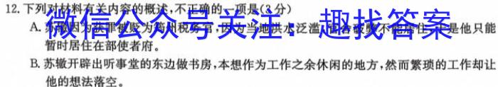 河南省九年级2023-2024学年度综合素养评估（二）【R-PGZX C HEN】语文