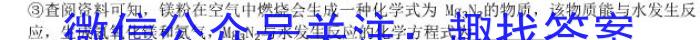 3河南省2023-2024学年度第一学期九年级阶段性测试卷（3/4）化学试题