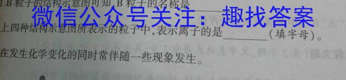 q九师联盟2024届高三教学质量监测11月联考（L）化学