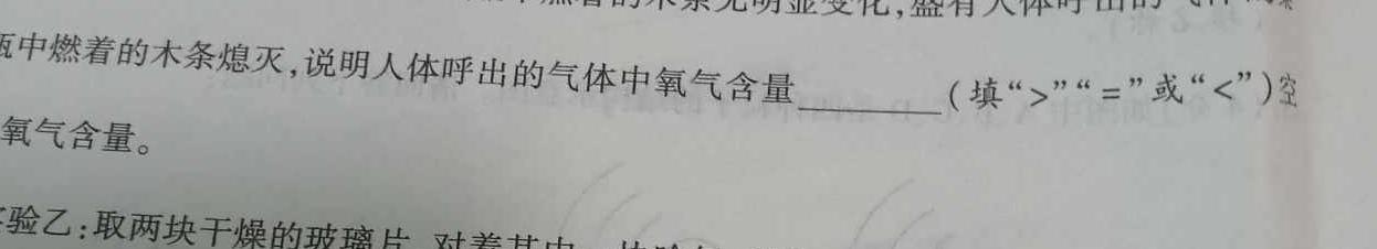 12024届普通高校招生全国统一考试仿真模拟·全国卷 YX-E(一)化学试卷答案