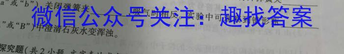 q河南省2023-2024学年八年级上学期第一次月考质量检测化学