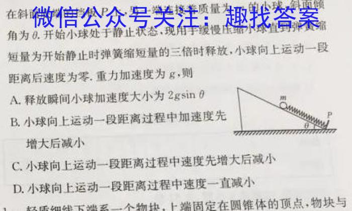 九师联盟·2024届高三10月质量检测巩固卷(LG）q物理