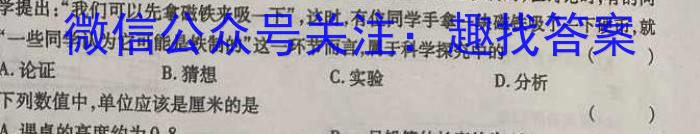 山东省潍坊市三县联考2023-2024学年高三上学期期中联考q物理