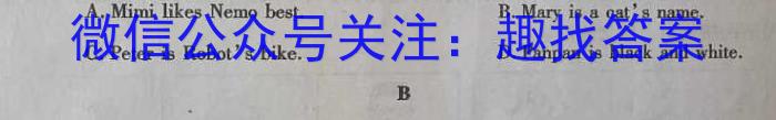 兵团地州学校2023-2024学年高三年级第一学期期中联考英语