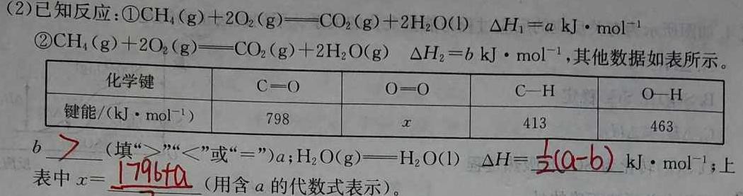 12024衡水金卷先享题高三一轮复习夯基卷(黑龙江)2化学试卷答案