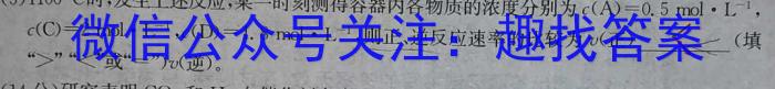 q河南省2025届八年级第一学期学习评价（2）［12.6］化学