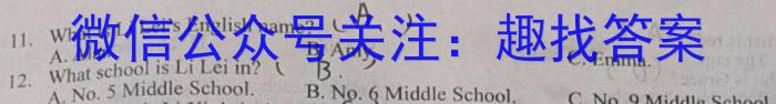 陕西省2023-2024学年度上学期九年级期中学科素养检测（A）英语