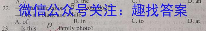陕西省2023~2024学年度九年级第一学期期中阶段测试卷英语试卷答案