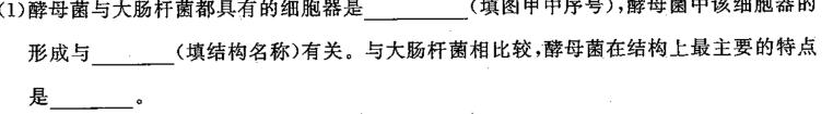 吉林省2023~2024学年第一学期高一期中考试(24191A)生物