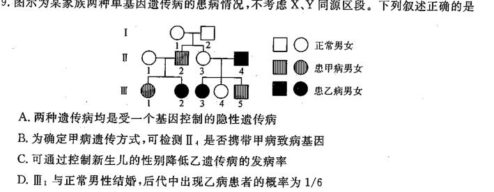 河南省2023-2024学年度八年级上学期期中综合评估【2LR】生物