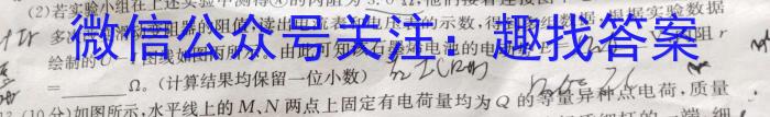 吉林省"通化优质高中联盟”2023~2024学年度高二上学期期中考试(24-103B)f物理