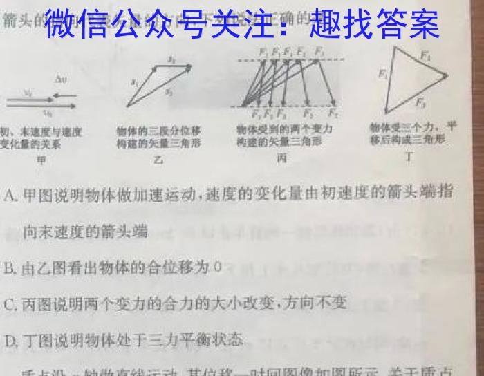 洛阳市2023-2024学年高二年级第一学期期中考试（11月）f物理