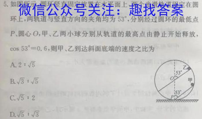 河北省沧衡八校联盟高二年级2023~2024学年上学期期中考试f物理