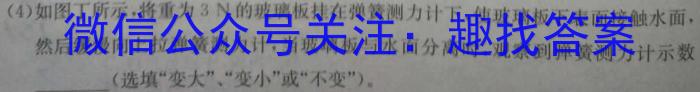 三湘名校教育联盟/湖湘名校教育联合体2024届高三10月大联考q物理