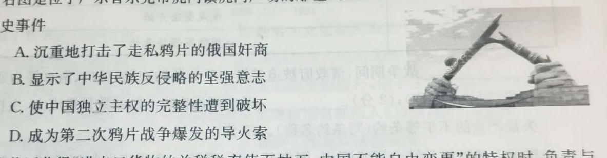 2024年普通高等学校统一模拟招生考试新未来10月联考（高二）历史