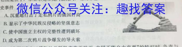 2023-2024学年天一大联考·安徽卓越县中联盟高三(上)期中考试历史试卷