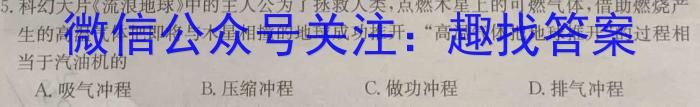 河南省2023-2024学年度上学期九年级期中教学质量监测q物理