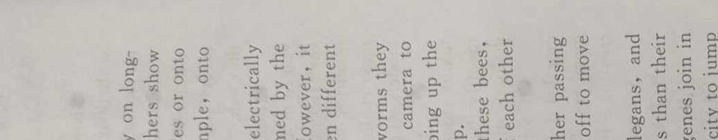 安徽省2023-2024学年度八年级上学期期中综合评估【2LR】 英语