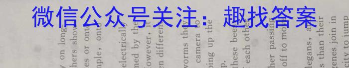 ［吉林大联考］吉林省2024届高三年级上学期11月联考（7-8号）英语试题答案